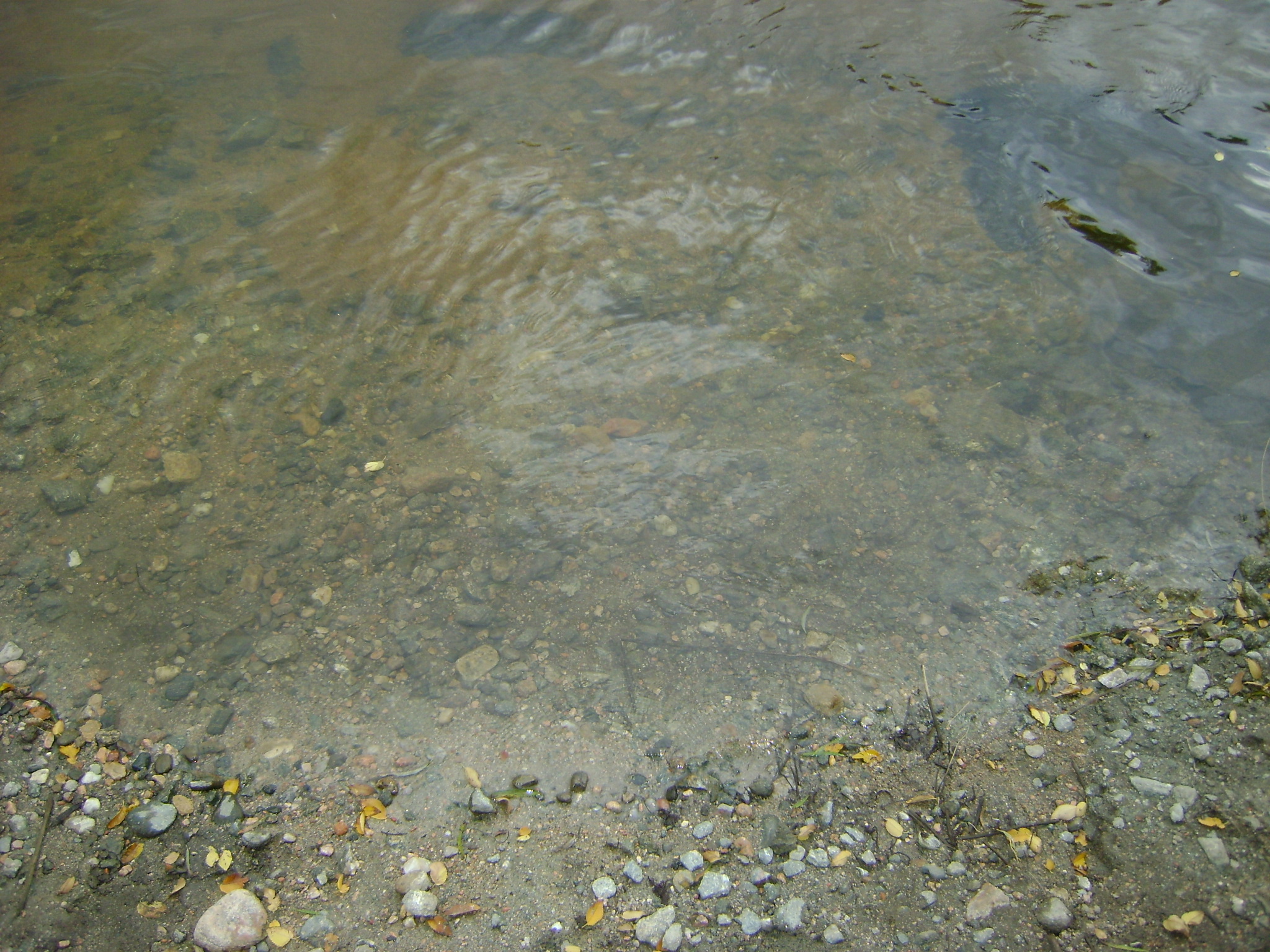 fotos/2011 - Los Reartes/DSC03244.JPG